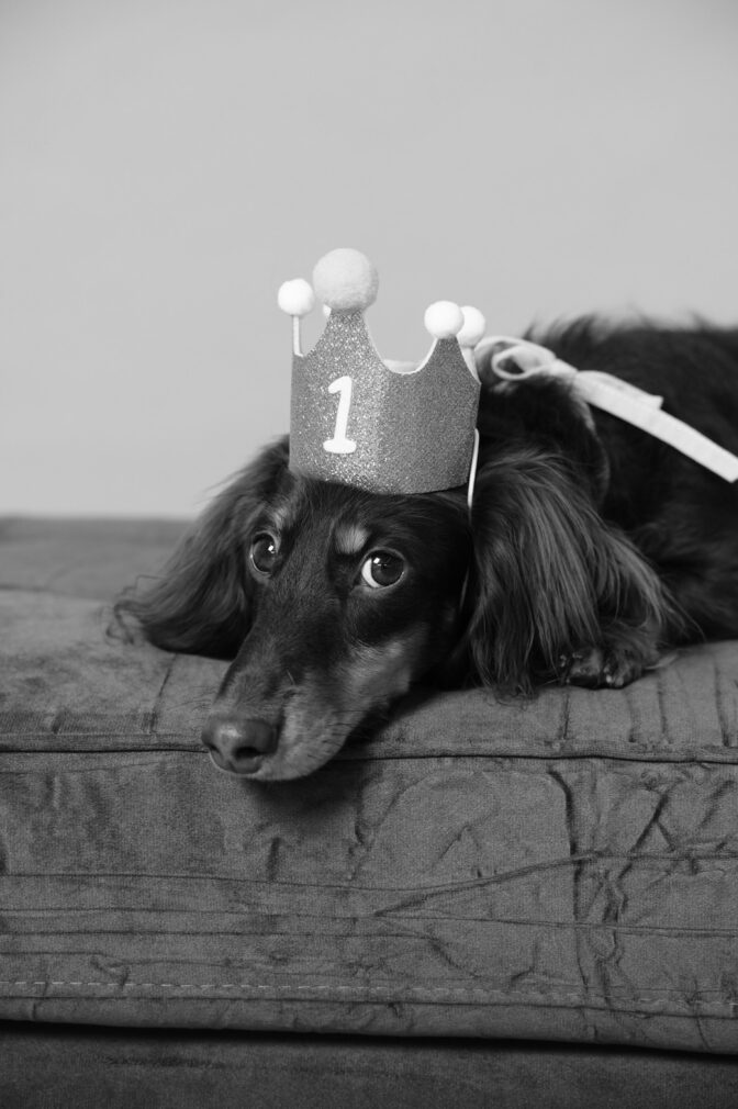 画像:mirror studio Alleyで撮影したバースデーフォト